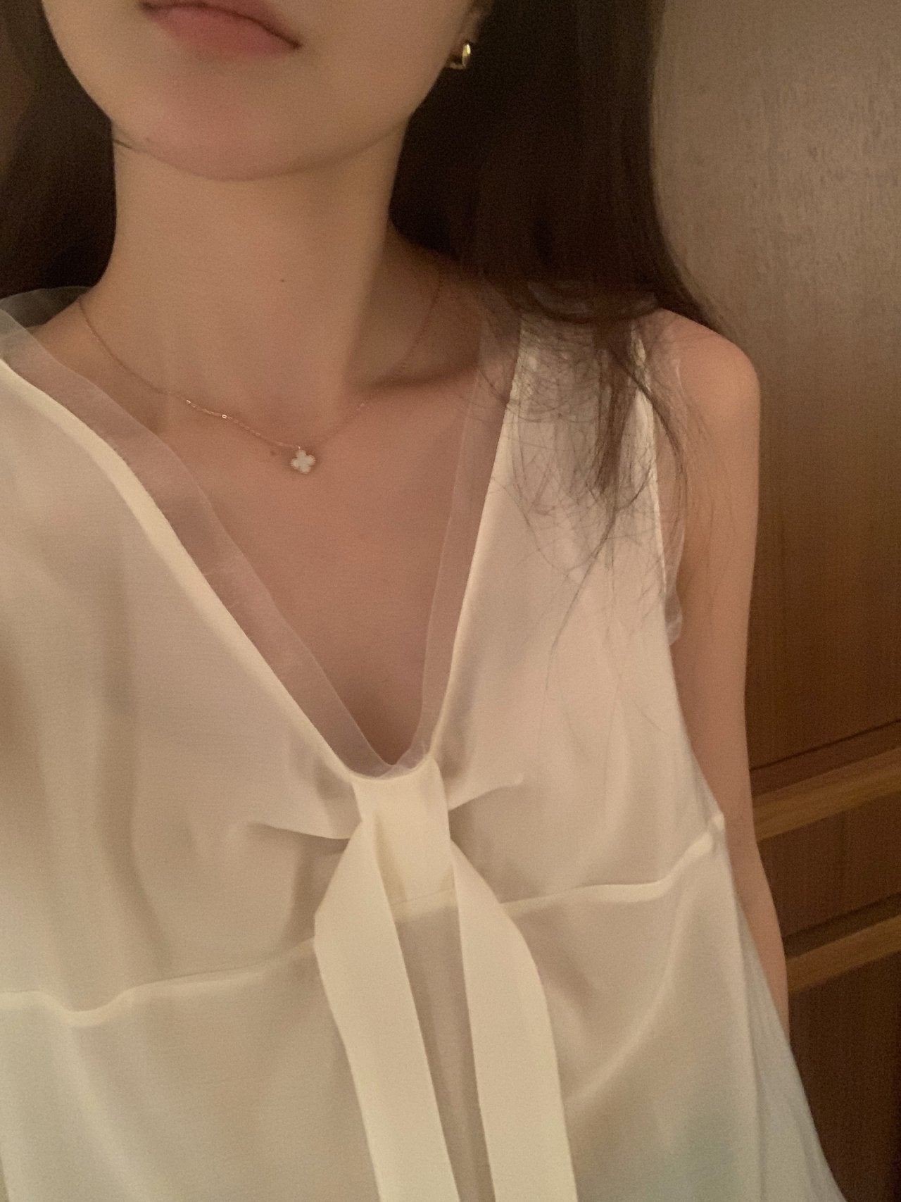Pure Mood See-through V-Blouse