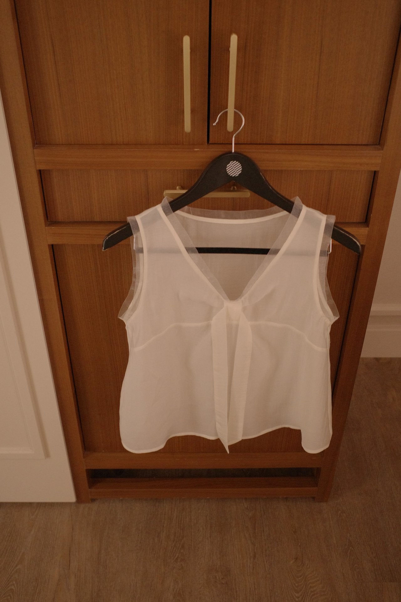 Pure Mood See-through V-Blouse