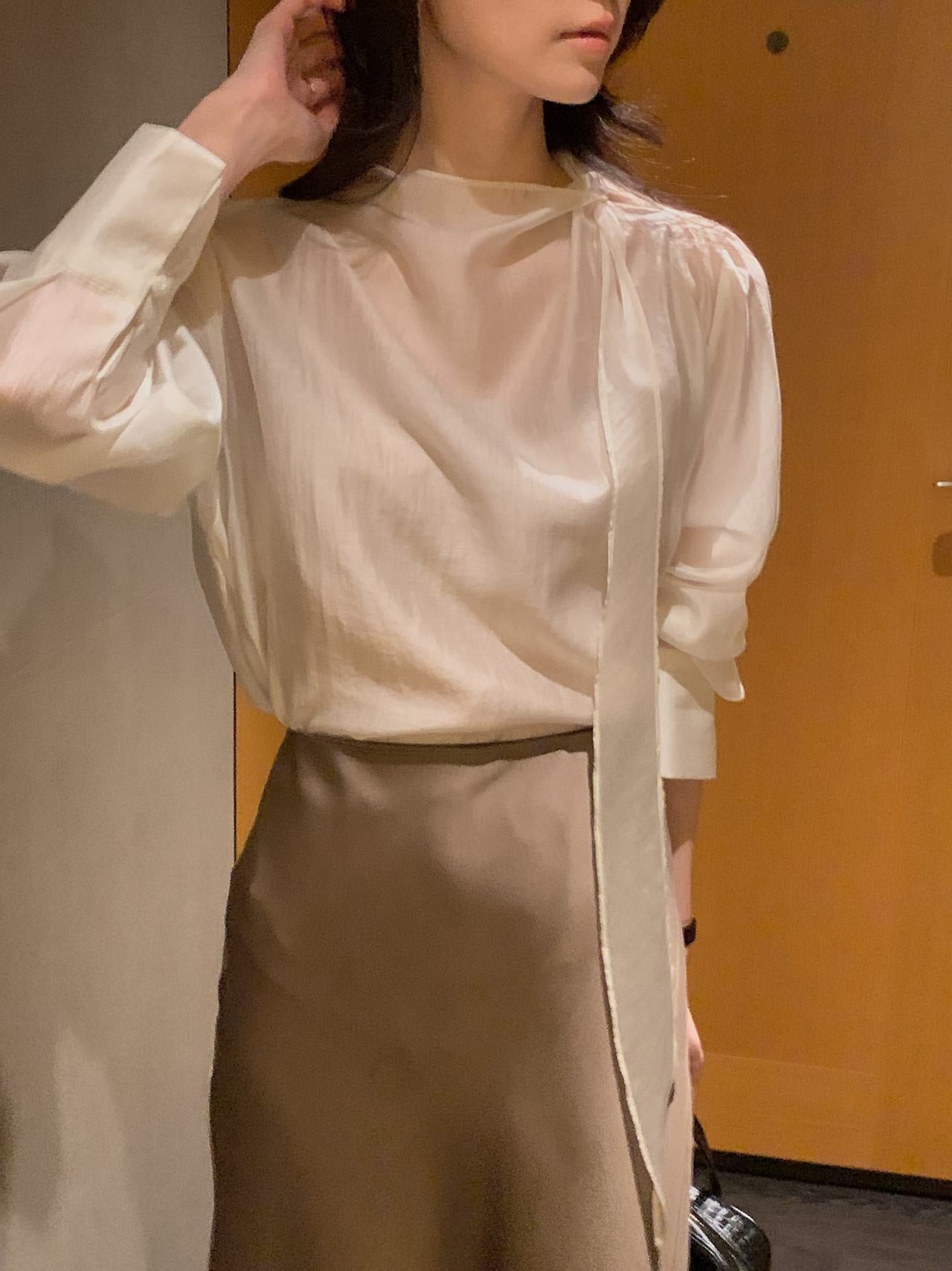 Poise Tie Mock Neck Blouse